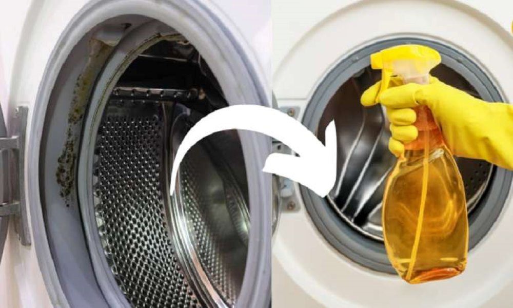 چطور لاستیک ماشین لباسشویی را تمیز کنیم؟